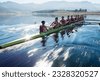 rowing silhouette