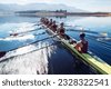 rowing sport