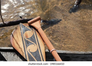 Rowing In Xingu River - Brazil