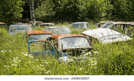 Rows of abandoned cars in a swedish forest - Powered by Shutterstock