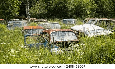 Rows of abandoned cars in a swedish forest