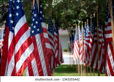 Rows of American flags in outdoor setting.