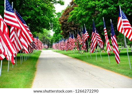 Rows of American Flags set out to honor American Military on Veterans Day.   The large flags line the main roadway into the cemetery. 