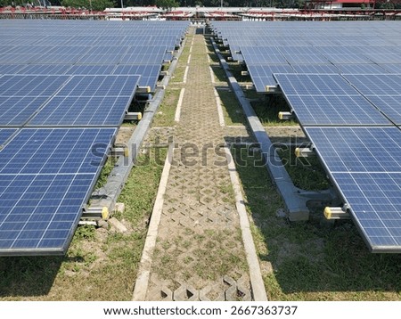 Rows of blue solar panels aligned on ground-mounted frames, capturing sunlight to produce clean, renewable energy in an open outdoor solar farm.