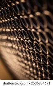 Rows of Bottles in a Wine Cellar Perspective