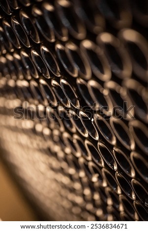 Rows of Bottles in a Wine Cellar Perspective