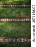 Rows Of Brick Create Terrace Steps In Grass from above