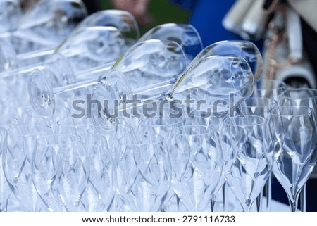 Rows of clean, empty stemware ready for drinks at a party or special occasion