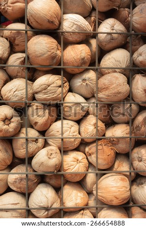 Rows of coconut in ironbar