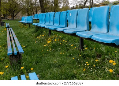 Rows of empty blue plastic stadium seats stand above grass filled with yellow dandelions and daisies. Outdoor sports field seating concept with overgrown lawn, recreation area and unused spectator benches.
