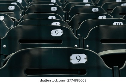 Rows of empty seats before a baseball game                               