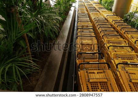 Rows of Empty Shopping Carts in a Supermarket Symbolizing Inflation, Reduced Consumer Spending and Retail Slowdown