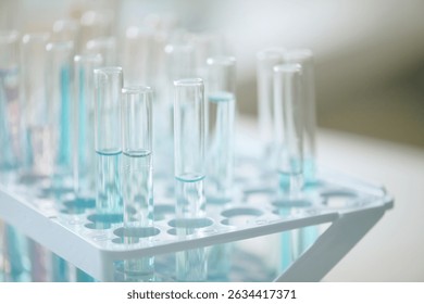 Rows of empty test tubes standing in rack in laboratory environment, showcasing clean and orderly scientific equipment, prepared for use in an experiment or research