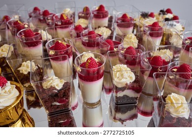 Rows of exquisite raspberry desserts stand elegantly, showcasing layers of creamy mousse, rich chocolate, and fresh berries. These delightful treats promise a sweet experience for every palate.