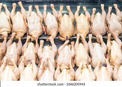 Rows of fresh raw chicken poultry at supermarket window-display. Poultry farm indystry. Livestock industry price index - Powered by Shutterstock