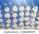 Rows of fresh squid drying on fishing net under bright sunlight and blue sky. Traditional seafood processing method commonly seen in coastal areas of Thailand, representing local culture, sustainable 