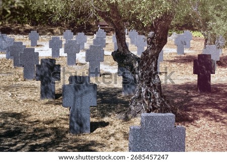 Rows of granite gravestones marking the final resting place for soldiers in a historic cemetery