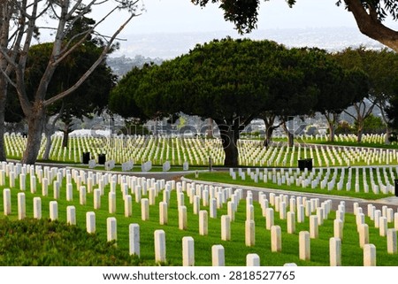 Rows of graves in a cometary in Point Lo, San Diego.