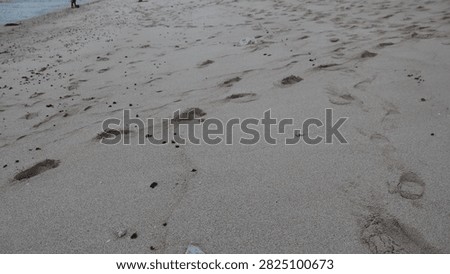 Rows of human footprints mark soft beach sand, creating a simple coastal scene that suggests journeys, discovery, relaxation, outdoor recreation, summer holidays, and peaceful seaside experiences.