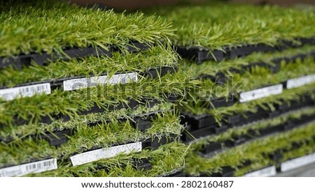 Rows of interlocking artificial turf mats with labels stacked on store shelves.
