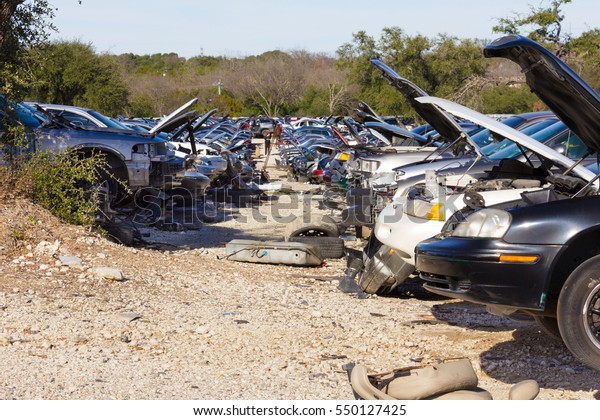 rows of junked cars\
with engine hoods up