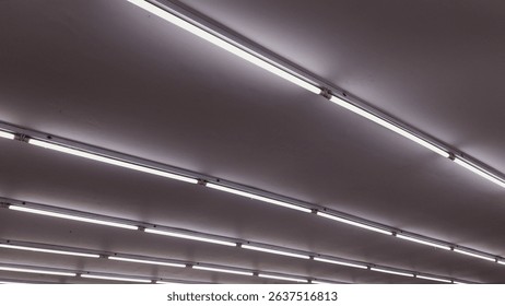 Rows of lights are lit on the ceiling of the minimarket