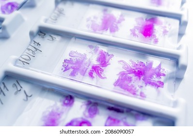 Rows Of Microscope Glass Slide In The Cells