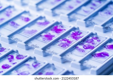 Rows Of Microscope Glass Slide In The Cells