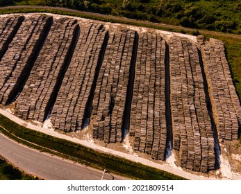 Rows of piled of logs , waiting to be processed. Log spruce trunks pile. Sawn trees from the forest. Logging timber wood industry. wood in stock