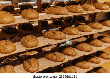 Rows of raw artisan bread dough loaves proofing on multi-tier bakery racks before baking, showcasing traditional bread preparation, fermentation, and commercial bakery production