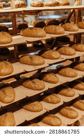 Rows of raw artisan bread dough loaves proofing on multi-tier bakery racks before baking, showcasing traditional bread preparation, fermentation, and commercial bakery production