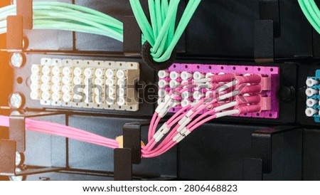 Rows of server racks dominate the scene. Numerous ports connect to coiled white cables. Structured layout displays server infrastructure. Ideal for IT or data center projects