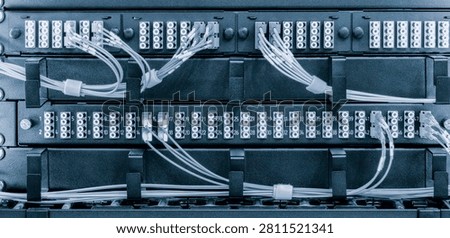 Rows of server racks dominate the scene. Numerous ports connect to coiled white cables. Structured layout displays server infrastructure. Ideal for IT or data center projects