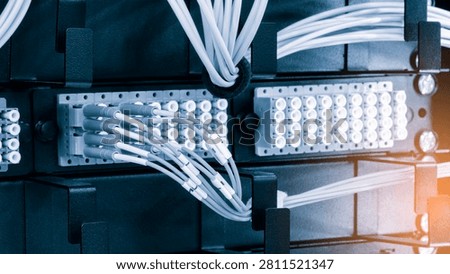 Rows of server racks dominate the scene. Numerous ports connect to coiled white cables. Structured layout displays server infrastructure. Ideal for IT or data center projects