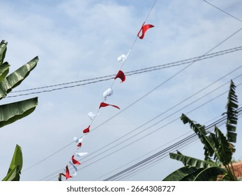 Rows of several small flags that have been installed in front of the house to welcome Independence Day