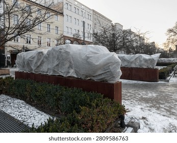 Rows of shrubs protected by white textile wraps in a snowy urban park, showing essential horticultural practices to preserve landscaping during freezing winter weather conditions