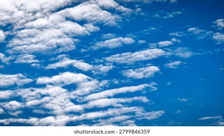 Rows of soft white clouds stretching across a brilliant blue sky, offering a clean and vibrant cloud background for nature and weather themes