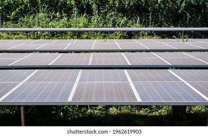 A Rows Of Solar Cell In Solar Power Station. Solar Panel Is An Electrical Device That Converts The Energy Of Light Into Electricity By The Photovoltaic Effect.