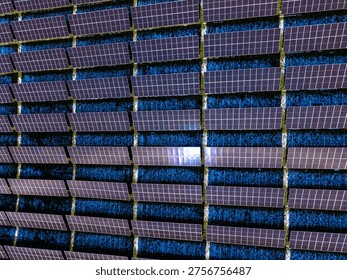 Rows of solar panels are set up in a field, soaking up sunlight to generate electricity. This setup shows the movement towards clean energy solutions in an outdoor setting.