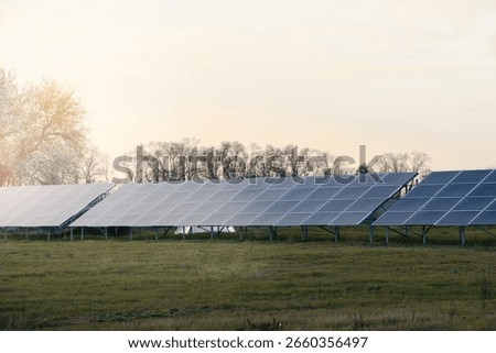 Rows of solar panels stretch across a grassy field, capturing sunlight to generate electricity. The renewable energy farm, representing clean energy sources.