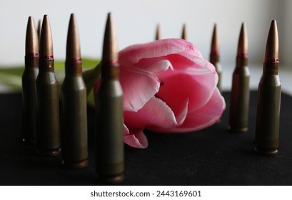 Rows of staying bullets around a blooming flower on black velvet surface. Concept Stock Photo For Honor Guard Illustration
