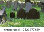 Rows of tombstones, froms the 1660