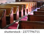 Rows of traditional church pews illuminated by sunlight