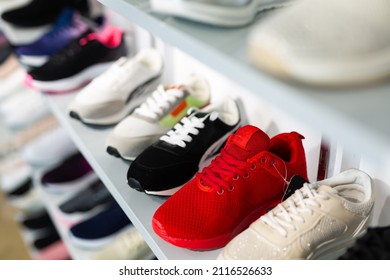 Rows Of Training Shoes Placed On Shelves In Shoe Store.