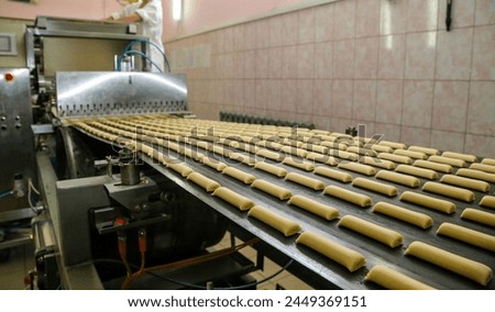 Rows of uncooked bread rolls are neatly aligned on a factory conveyor belt, ready for baking. The machinery suggests a large-scale production in an industrial bakery setting, emphasizing efficiency in