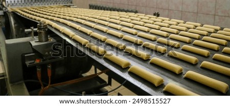 Rows of uncooked bread rolls are neatly aligned on a factory conveyor belt, ready for baking. The machinery suggests a large-scale production in an industrial bakery setting, emphasizing efficiency
