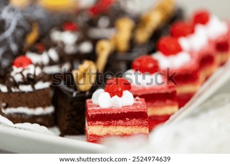 Rows of various small bite sized delicious gourmet desserts on display