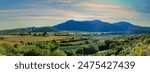 Rows of vines nestle in the valley, surrounded by majestic mountains in Oudtshoorn, Garden route, Western Cape, South Africa