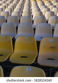 Rows Of Yellow Stadium Seats