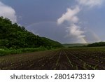 Rows of young corn plants thrive in fertile soil while a vibrant rainbow arcs over lush greenery and hills creating a stunning summer rural view.